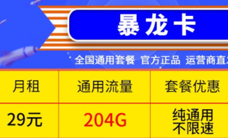 中国移动29元套餐详情（移动暴龙卡办理入口）